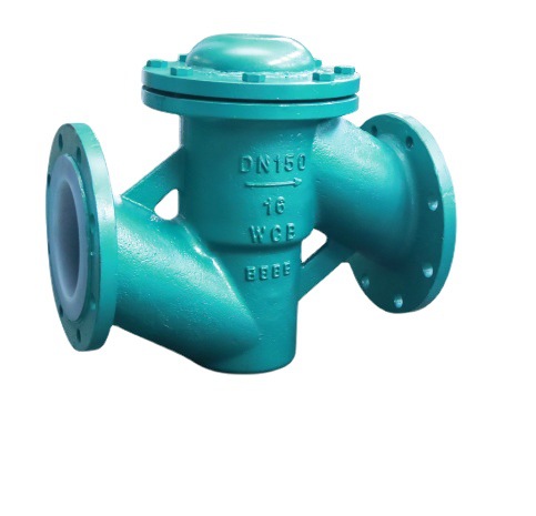 lined check valve